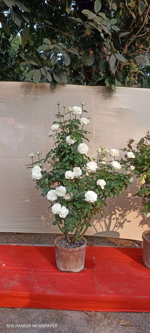 WhatsApp Image 2026-01-04 at 11.35.12 AM