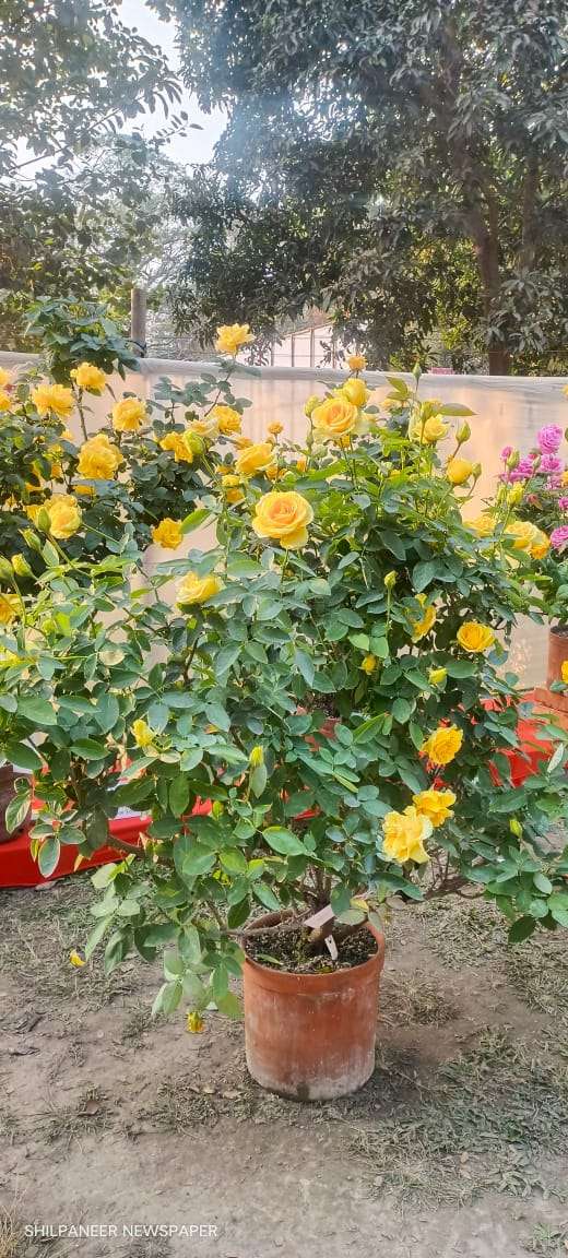 WhatsApp Image 2026-01-04 at 11.35.14 AM