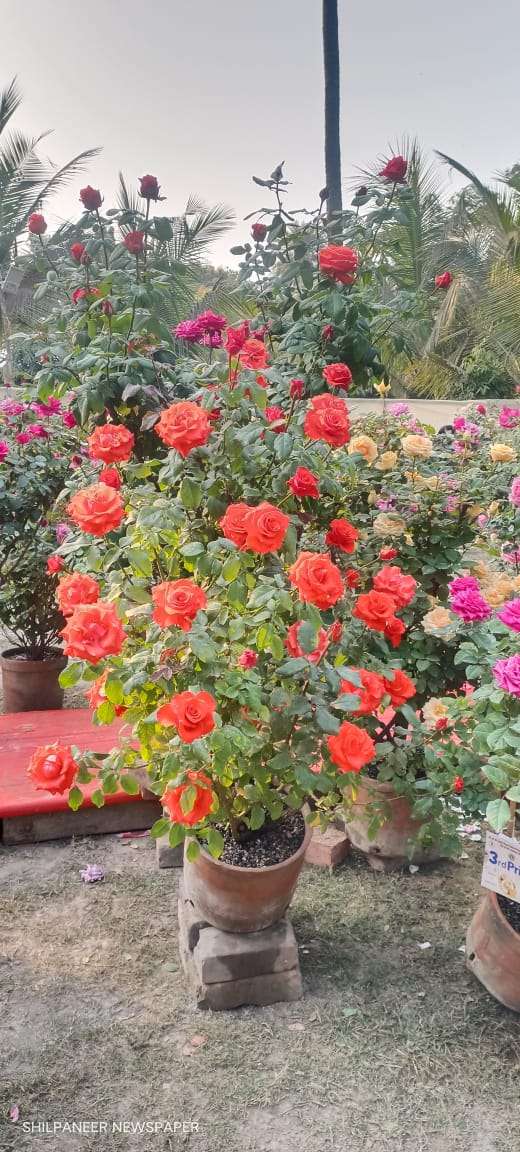 WhatsApp Image 2026-01-04 at 11.35.18 AM