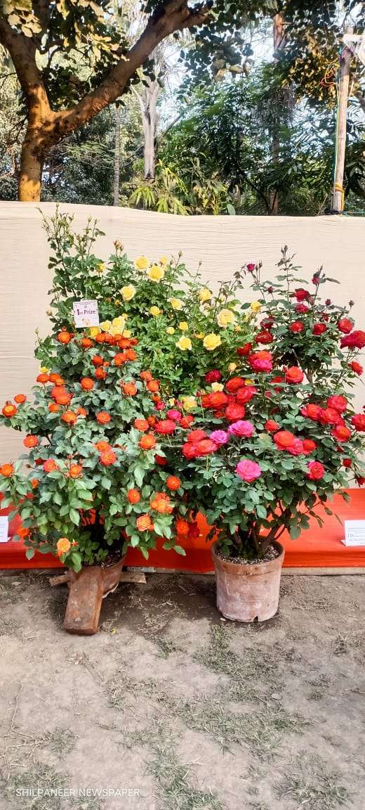 WhatsApp Image 2026-01-04 at 11.35.20 AM