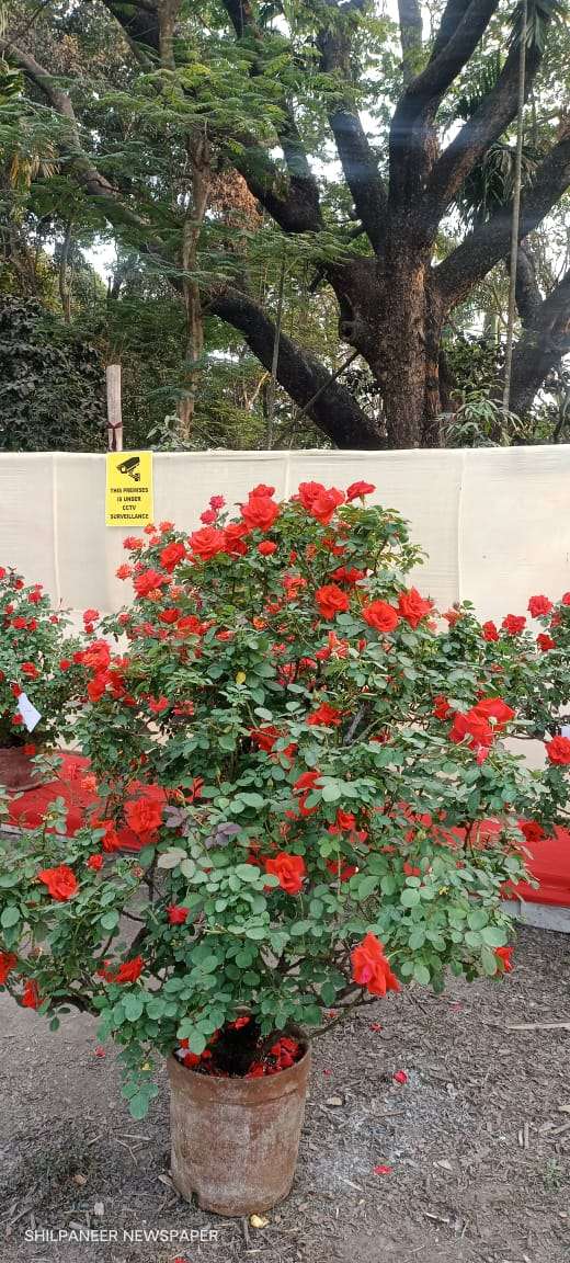 WhatsApp Image 2026-01-04 at 11.35.22 AM (1)