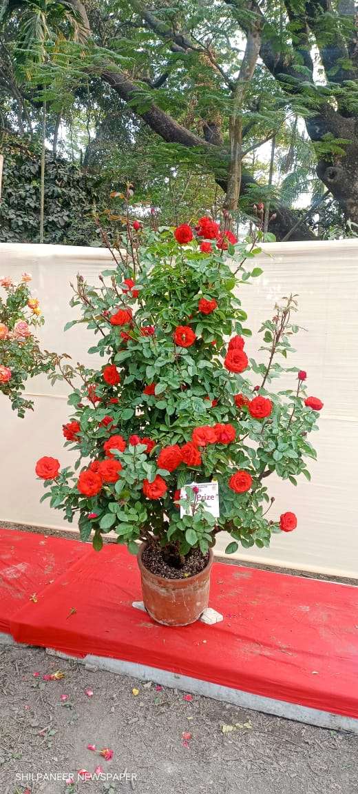 WhatsApp Image 2026-01-04 at 11.35.22 AM