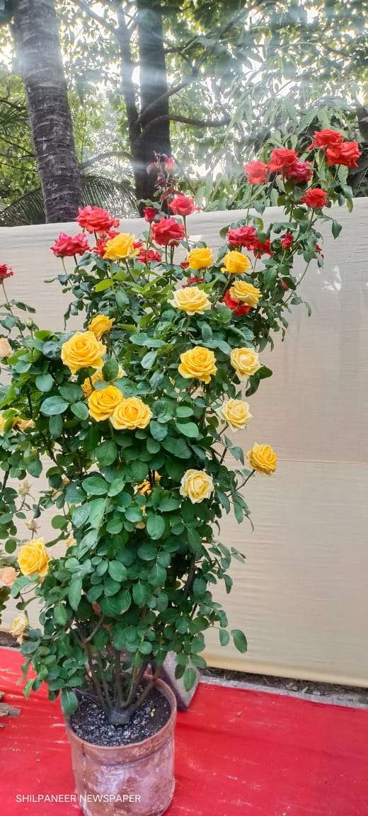 WhatsApp Image 2026-01-04 at 11.35.23 AM (1)