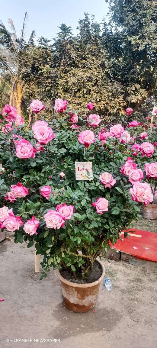 WhatsApp Image 2026-01-04 at 11.35.23 AM