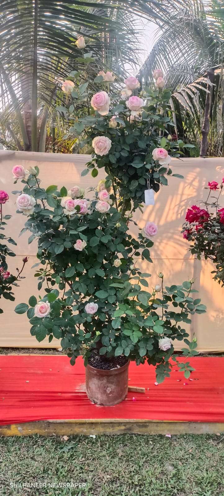 WhatsApp Image 2026-01-04 at 11.35.26 AM