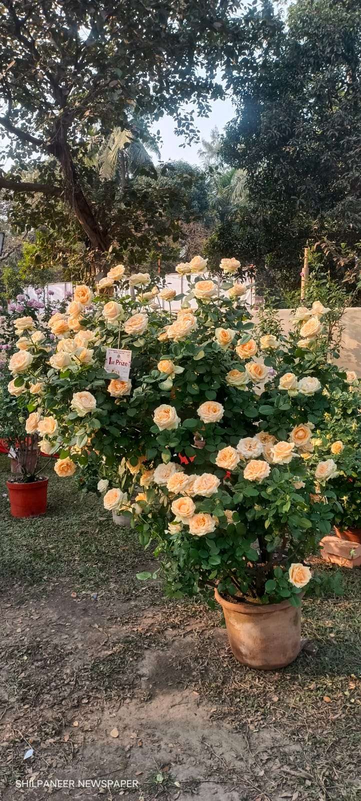 WhatsApp Image 2026-01-04 at 11.35.27 AM