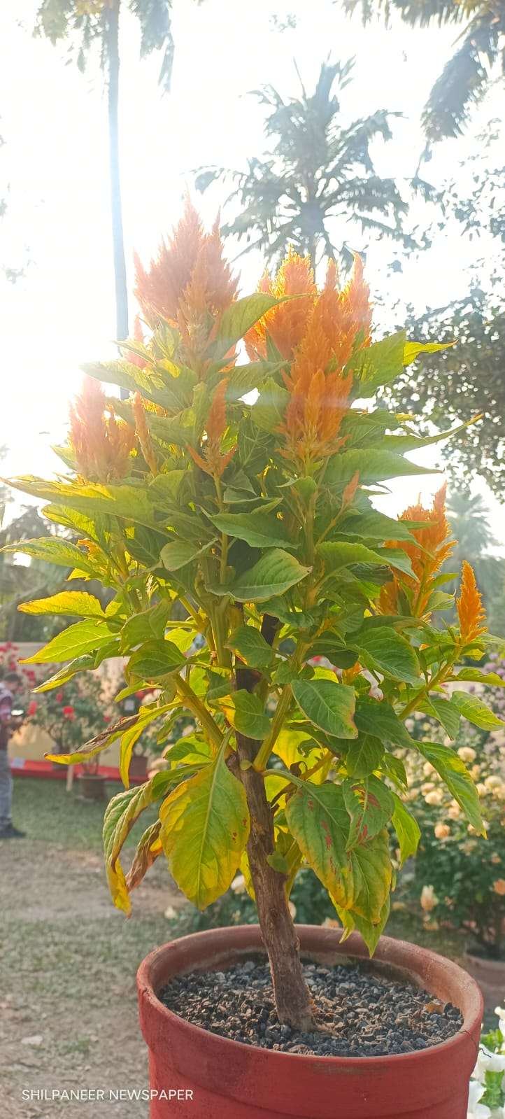 WhatsApp Image 2026-01-04 at 11.35.29 AM (2)