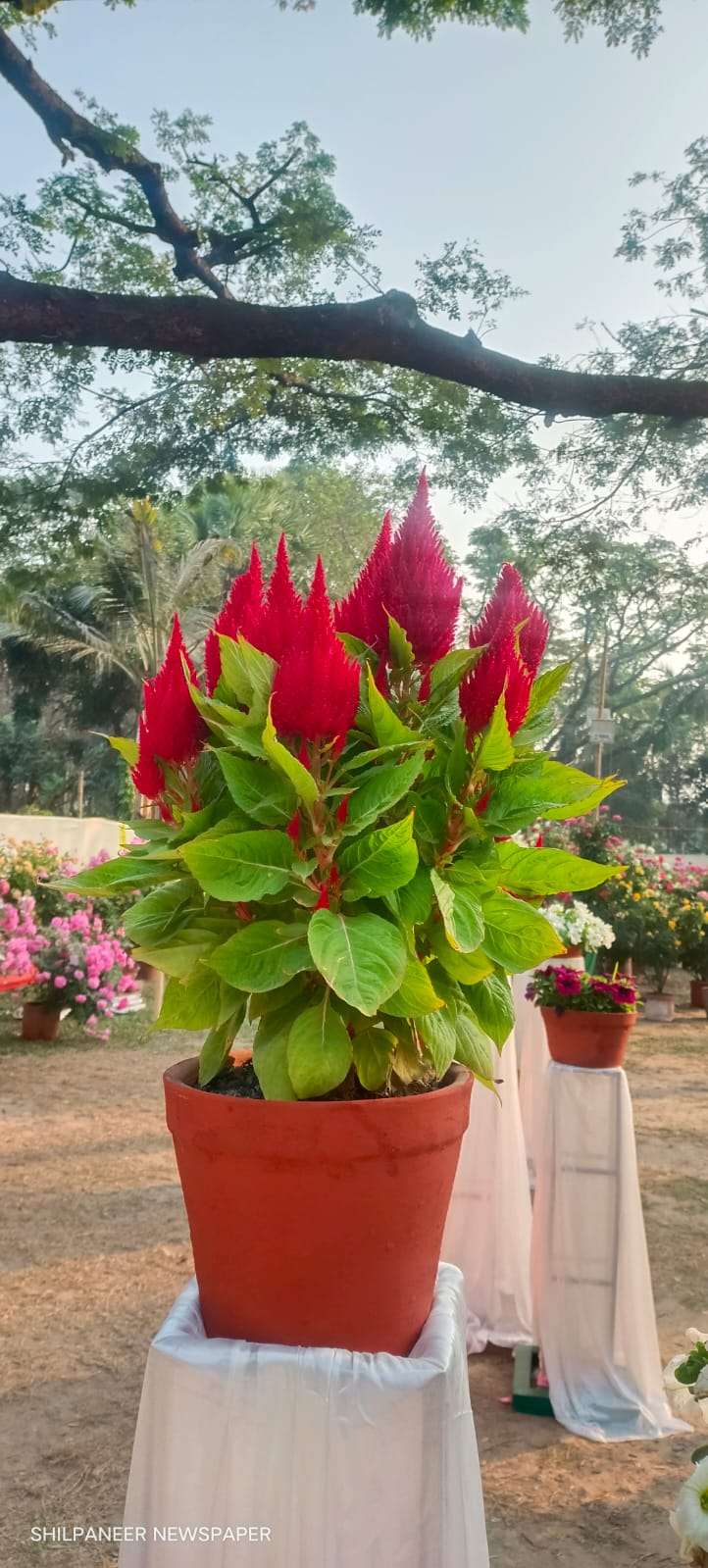 WhatsApp Image 2026-01-04 at 11.35.30 AM