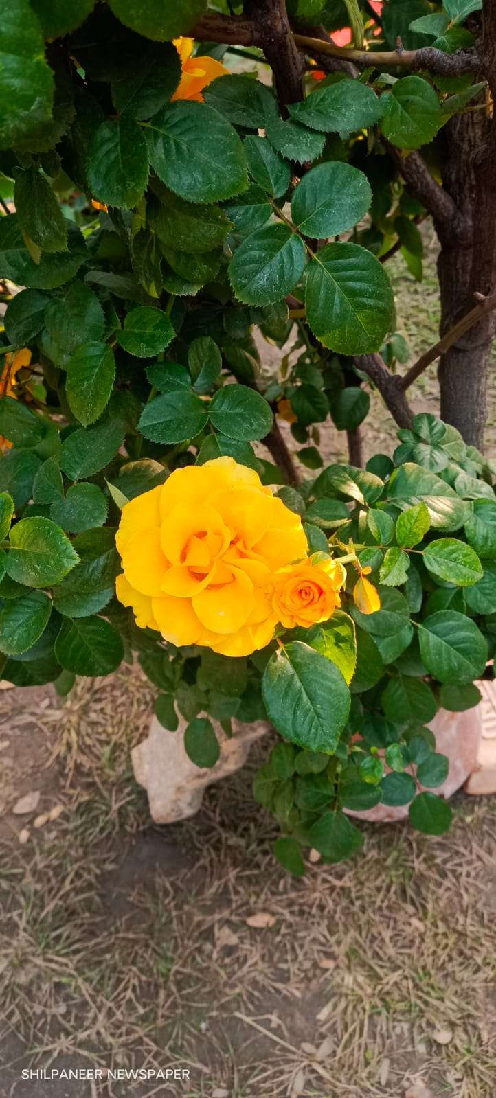 WhatsApp Image 2026-01-04 at 11.35.31 AM