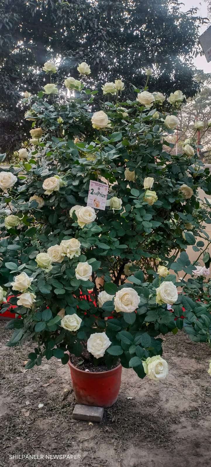 WhatsApp Image 2026-01-04 at 11.35.33 AM (1)