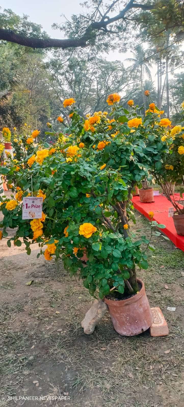 WhatsApp Image 2026-01-04 at 11.35.33 AM