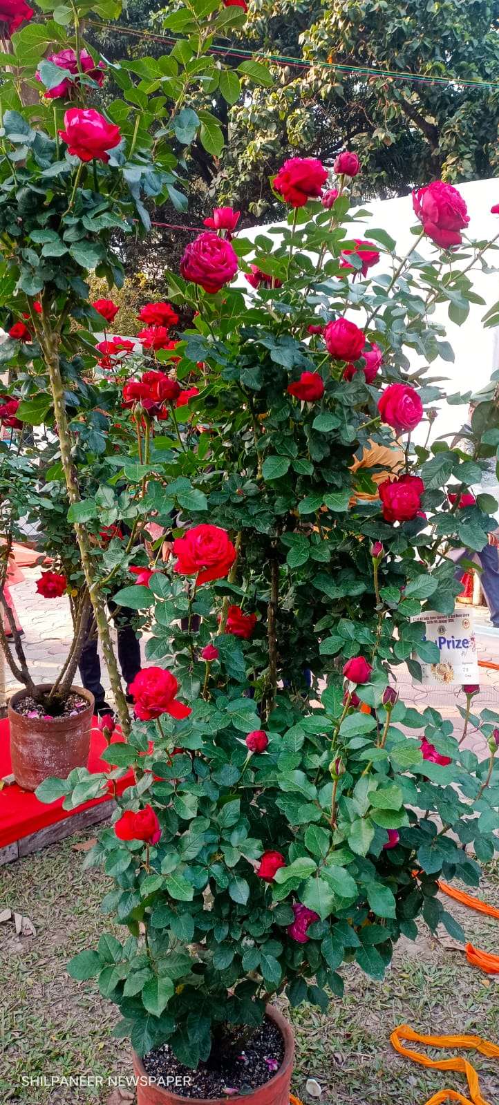 WhatsApp Image 2026-01-04 at 11.35.34 AM (1)