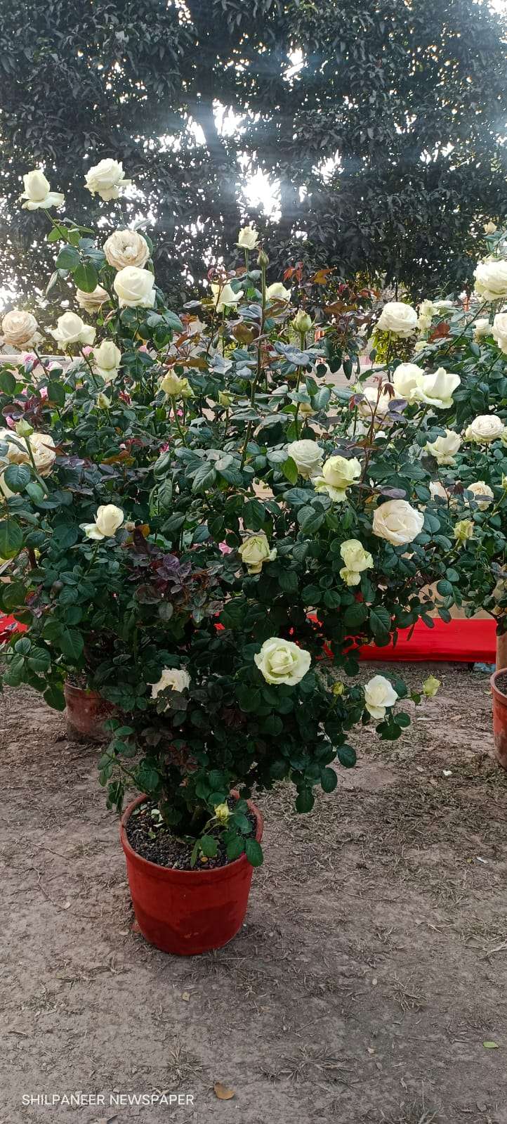 WhatsApp Image 2026-01-04 at 11.35.34 AM