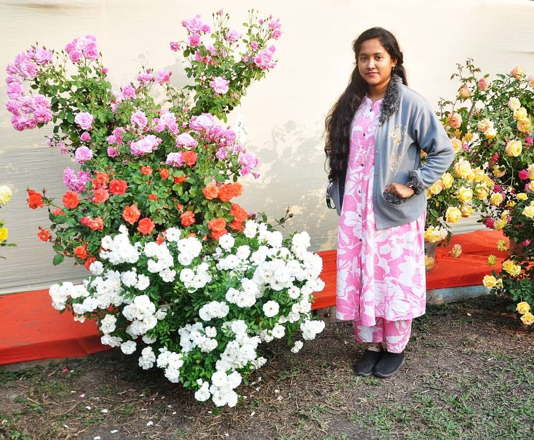 b72e720b-ec1a-49a9-91de-0fee0428614f